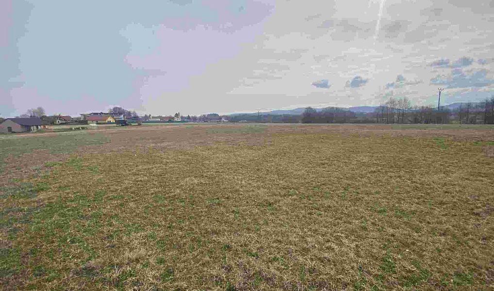 Prodej stavebního pozemku 3 502 m², Horní Stropnice – náhled fotky 3