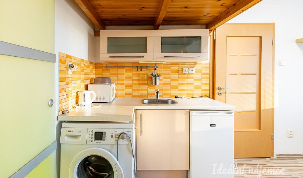 Pronájem bytu 1+kk 20 m², Praha – náhled fotky 6