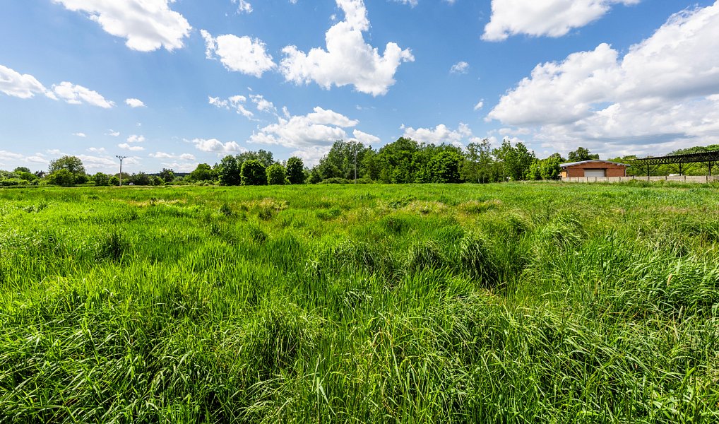 Prodej stavebního pozemku 10 396 m², Staňkov – náhled fotky 8