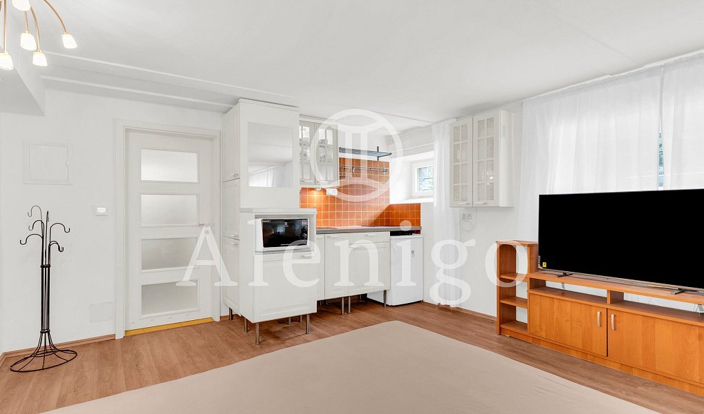 Prodej bytu 1+kk 25 m², Praha – náhled fotky 3