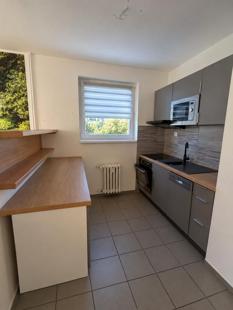 Pronájem bytu 2+1 59 m²
