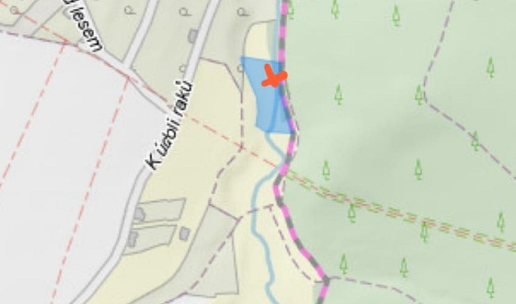 Prodej louky 3 057 m², Všestary – náhled fotky 10