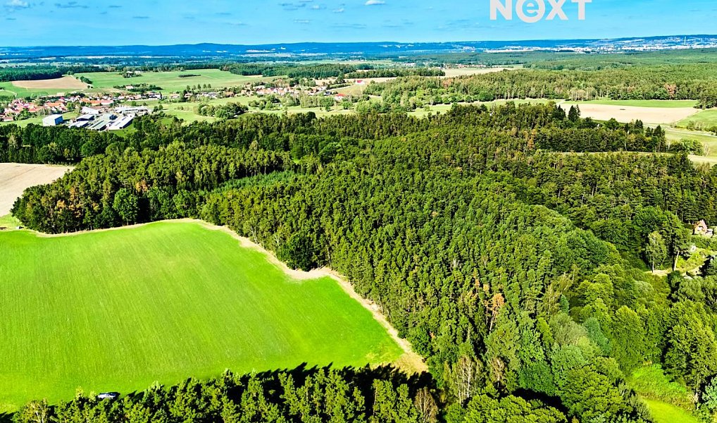 Prodej lesa 13 404 m², Hradce – náhled fotky 13