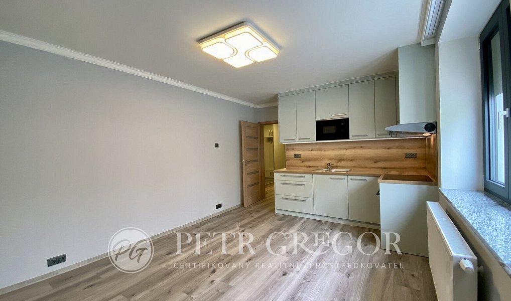Pronájem bytu 1+kk 35 m², Poděbrady – náhled fotky 4