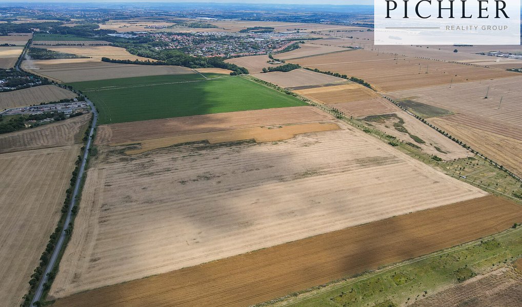 Prodej pole 46 465 m², Chýně – náhled fotky 4