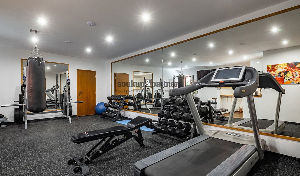 Prodej domu 1 079 m² s pozemkem 18 056 m², Netvořice – náhled fotky 21
