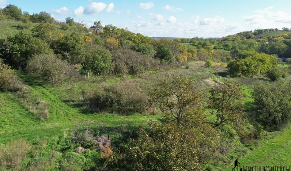 Prodej zahrady 6 601 m², Hrušovany u Brna – náhled fotky 14