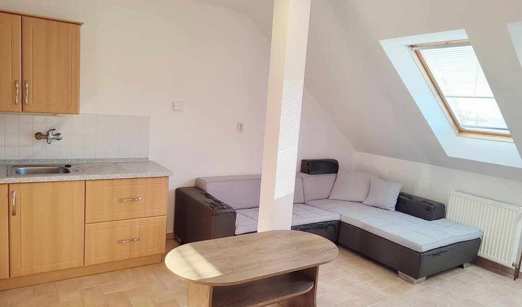 Pronájem bytu 1+1 47 m², Jindřichův Hradec – náhled fotky 4