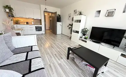 Pronájem bytu 1+kk 41 m²