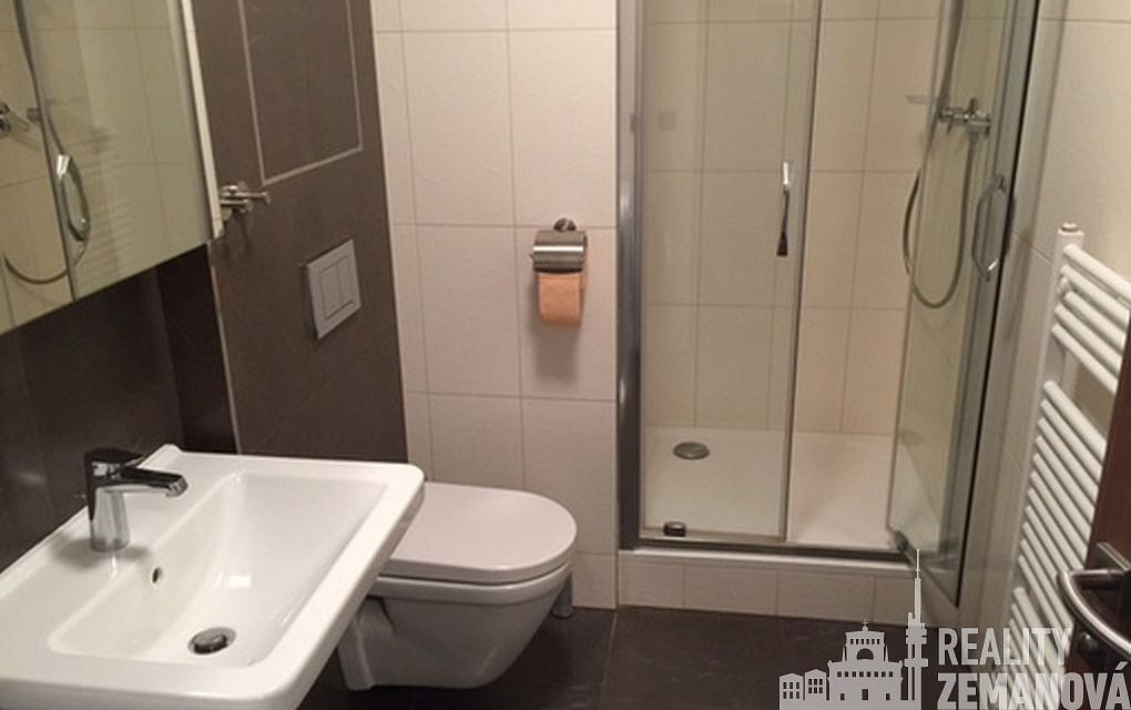 Pronájem bytu 1+kk 37 m² – pohled 6