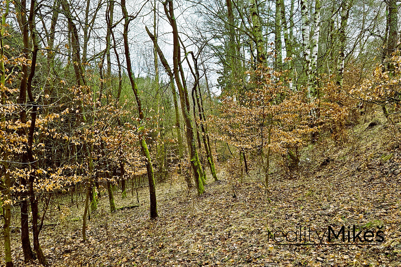 Prodej louky 4 569 m² – fotografie 5