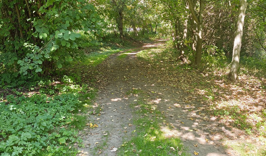 Prodej stavebního pozemku 2 598 m², Jedlá – náhled fotky 5