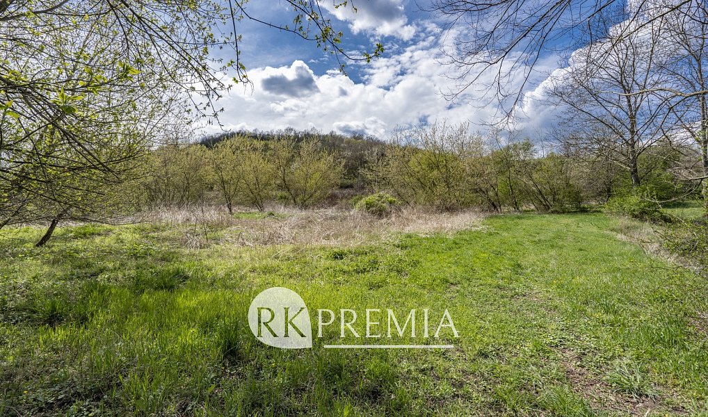 Prodej zahrady 4 353 m², Bžany – náhled fotky 7