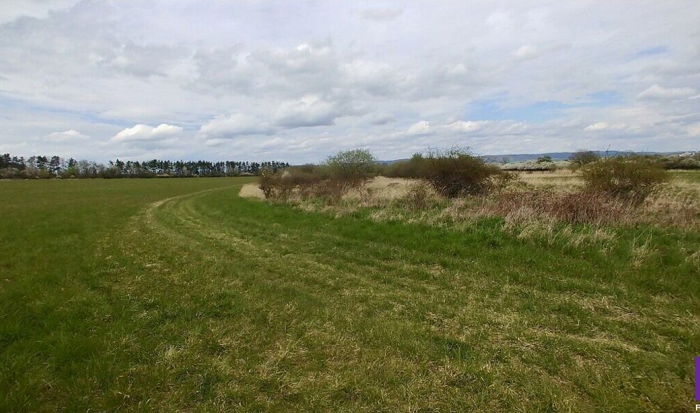 Prodej pole 6 487 m², Hostomice – náhled fotky 5