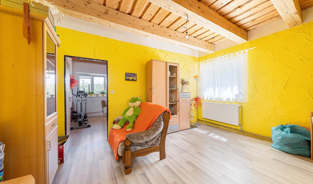 Prodej domu 520 m² s pozemkem 1 414 m², Cheb – náhled fotky 38