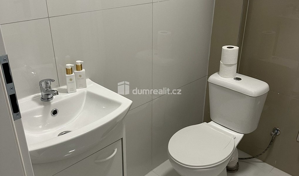 Pronájem bytu 5+kk 14 m², Praha – náhled fotky 5