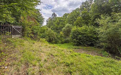 Prodej stavebního pozemku 3 117 m², Husova, Jílové u Prahy, okres Praha-západ