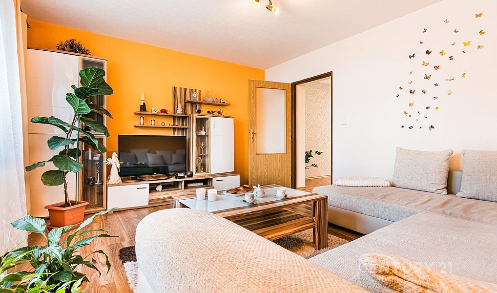 Prodej domu 197 m² s pozemkem 319 m², Rajhradice – náhled fotky 3
