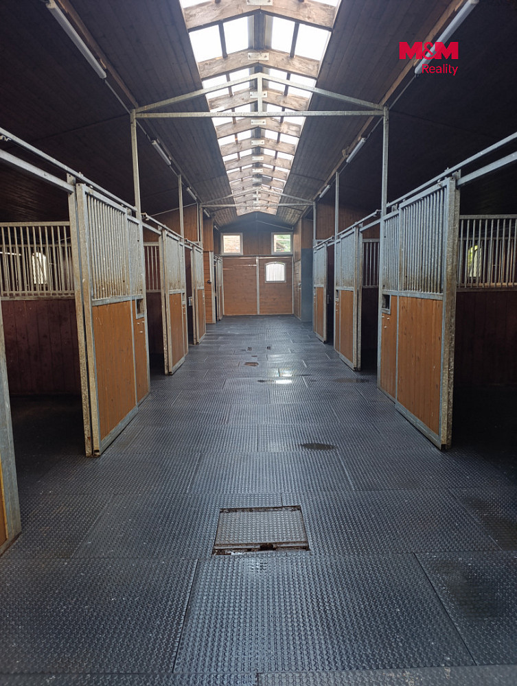 Pronájem zemědělského objektu 352 m² – fotografie 2