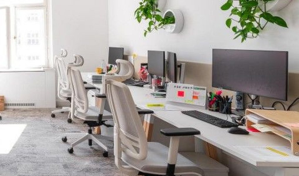 Pronájem obchodních prostor 503 m², Praha – náhled fotky 2