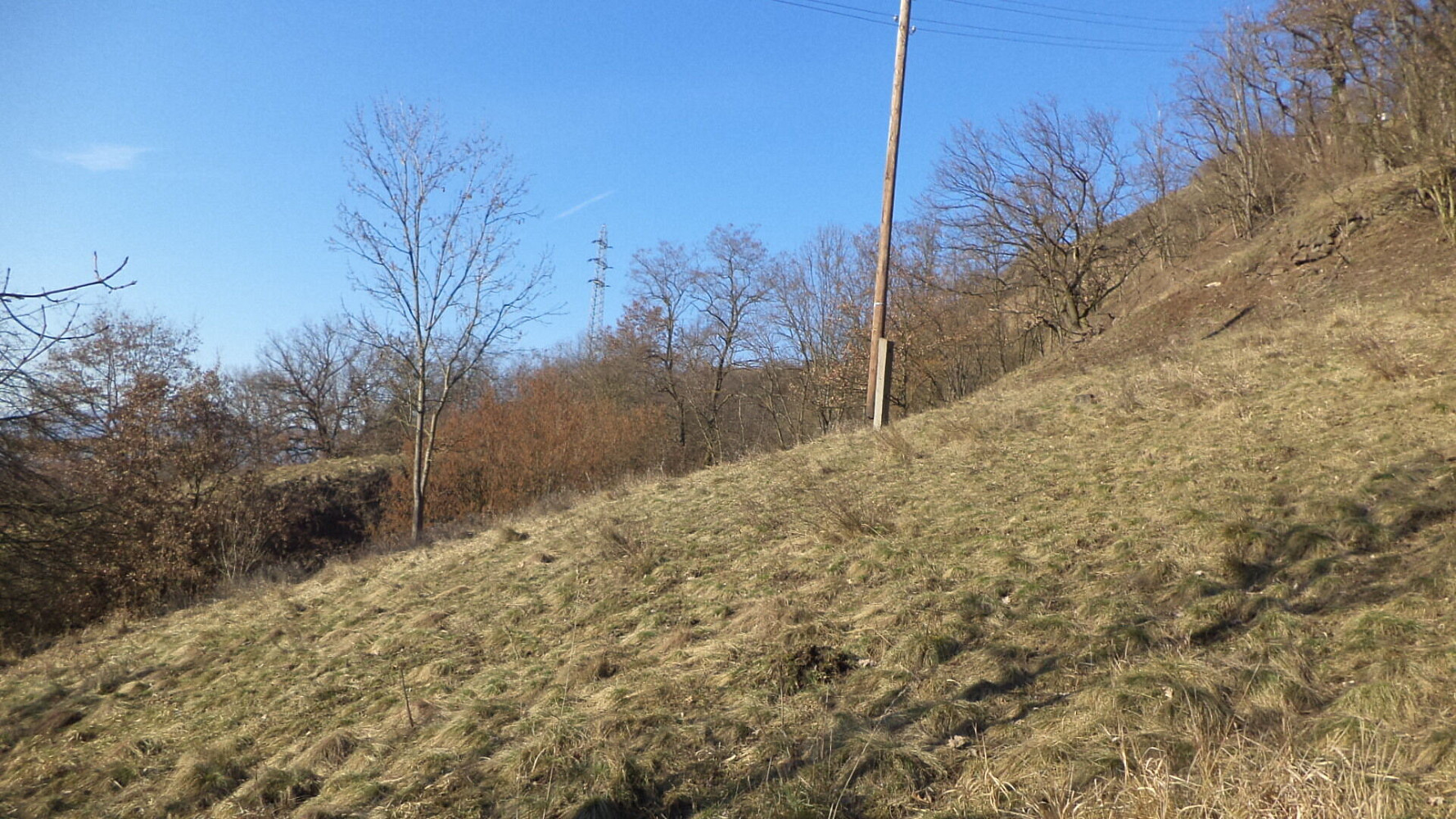 Prodej zahrady 1 700 m² – pohled 4