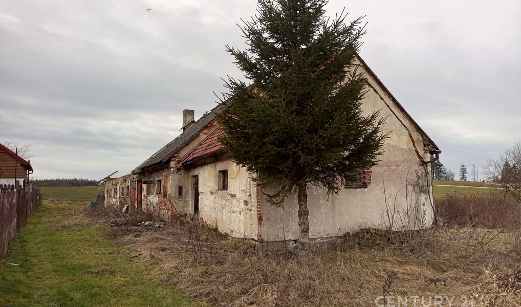 Prodej stavebního pozemku 3 068 m², Studená – náhled fotky 7