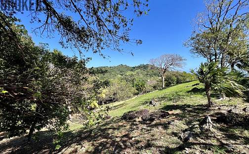 Prodej stavebního pozemku 1 594 m², Coxen Hole, Roatán, Honduras