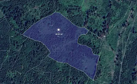 Prodej lesa 43 911 m², Olšovec, okres Přerov