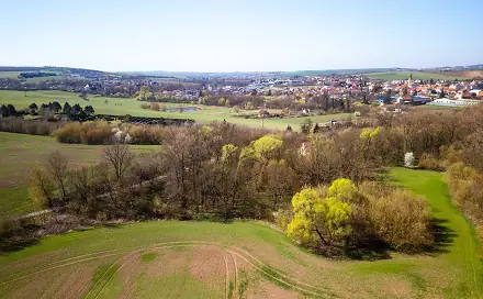 Prodej stavebního pozemku 7 787 m², Rousínov - Čechyně, okres Vyškov