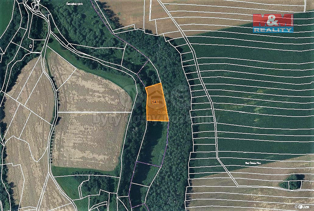 Prodej louky, 4169 m², Vilémov-Klášter u Vilémova – pohled 5