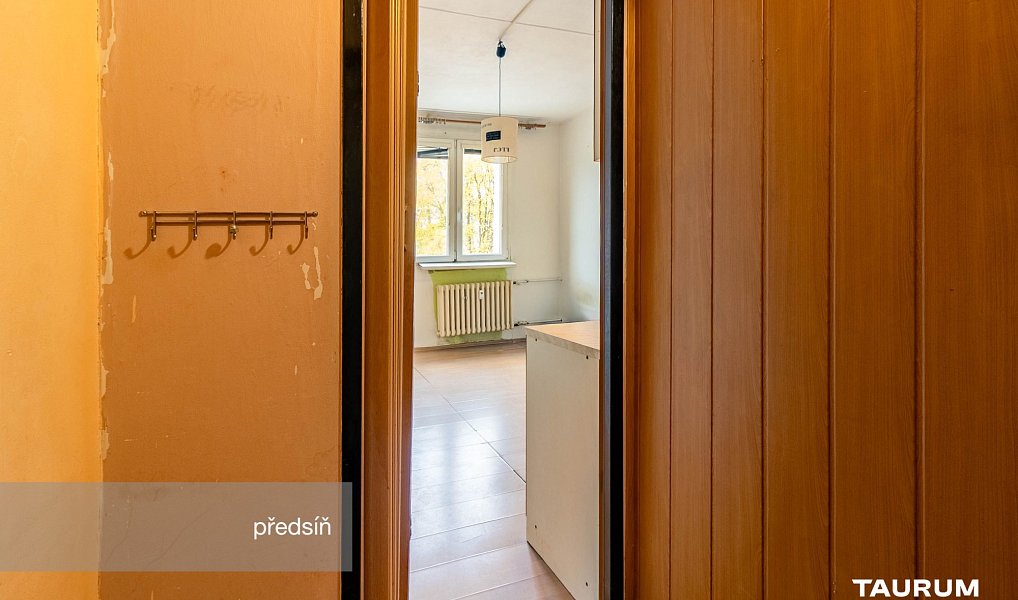 Prodej bytu 1+kk 20 m², Plzeň – náhled fotky 10