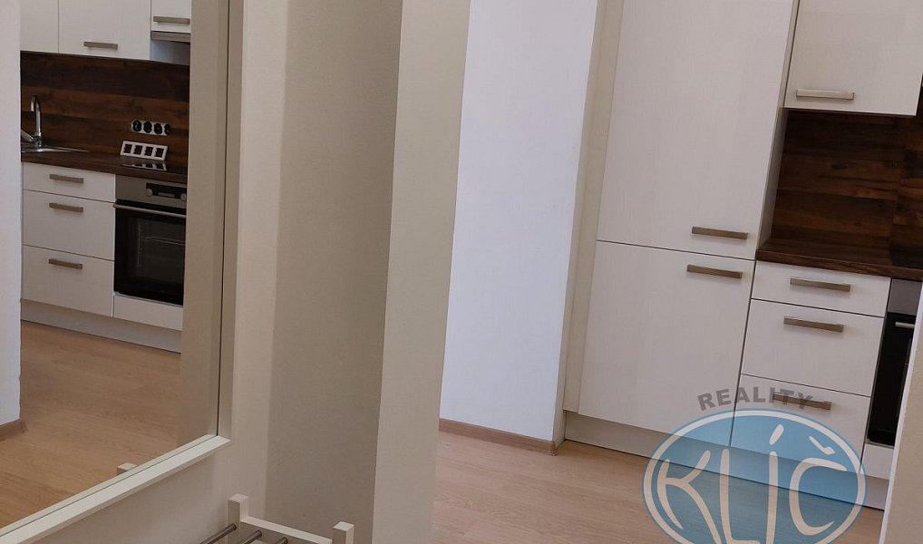 Pronájem bytu 2+kk 55 m², Tábor – náhled fotky 5