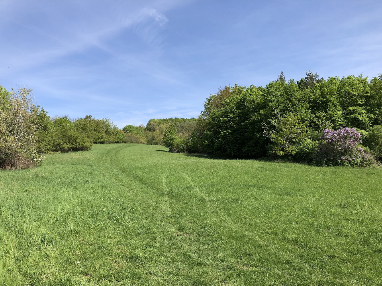 Prodej louky 24 023 m² – fotografie 5