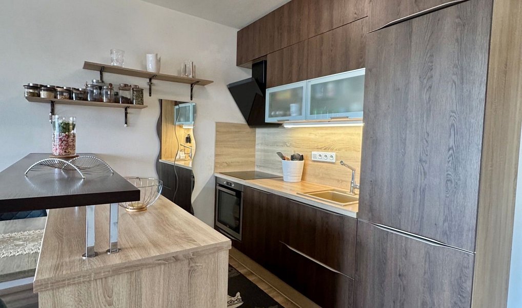 Prodej bytu 3+kk 68 m², Brno – náhled fotky 11