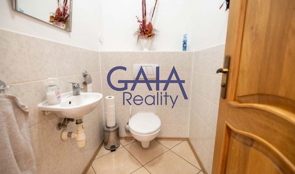 Prodej domu 354 m² s pozemkem 3 088 m², Strážovice – náhled fotky 13