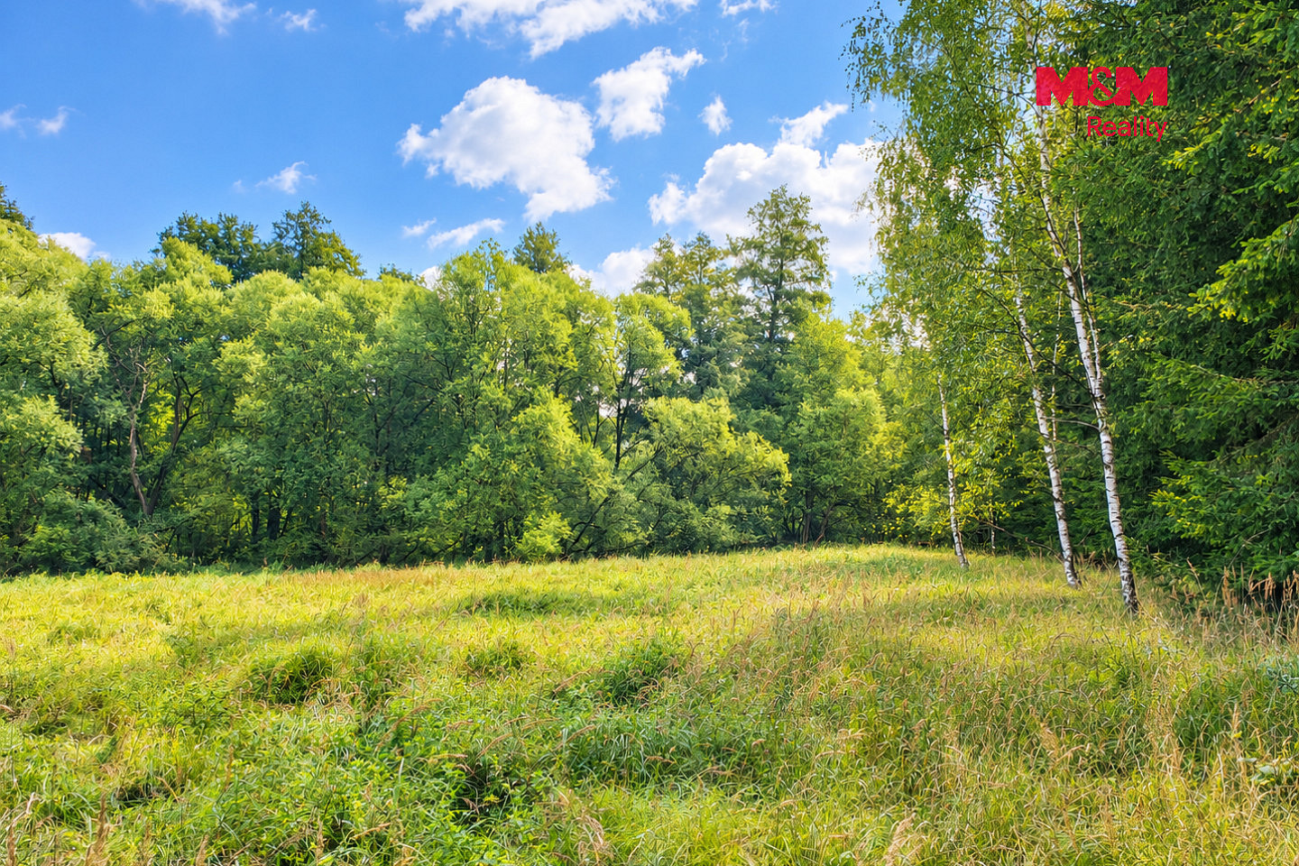 Prodej louky 10 113 m²