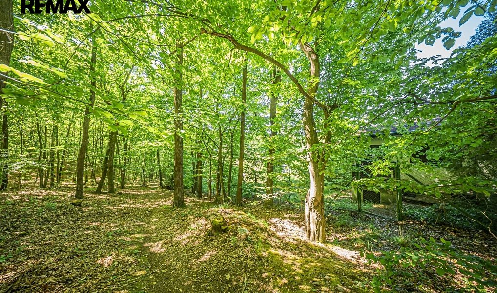 Prodej chaty/chalupy 16 m² s pozemkem 529 m², Nižbor – náhled fotky 27