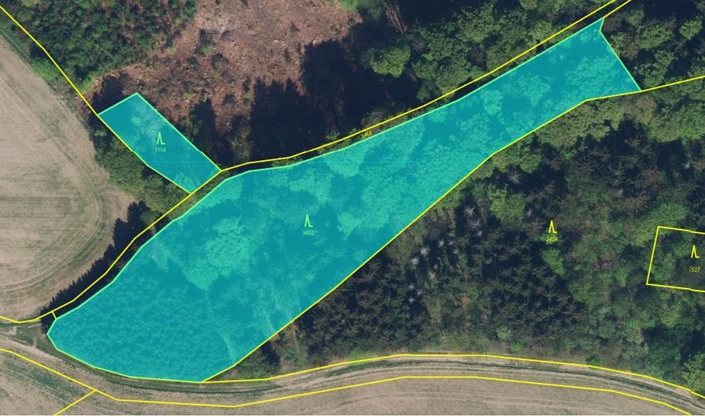 Prodej lesa 9 005 m², Liberk – náhled fotky 11