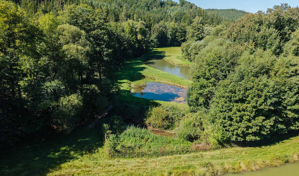 Prodej vodní plochy 8 295 m², Nové Hrady – náhled fotky 9