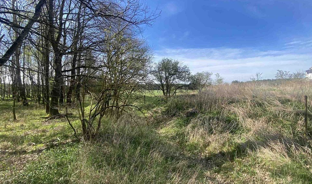 Prodej pozemku 2 086 m², Hranice – náhled fotky 5