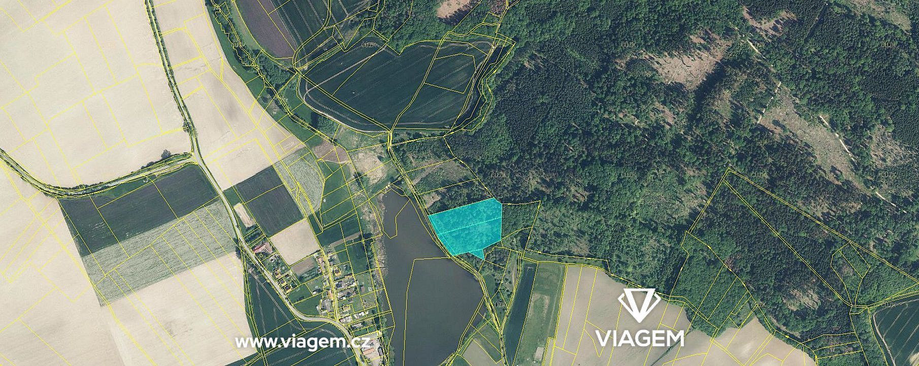 Prodej lesa 1 453 m² – fotografie 2