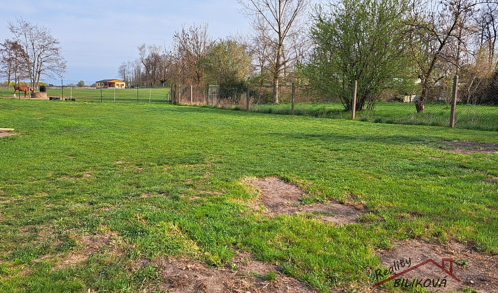Prodej domu 90 m² s pozemkem 1 635 m², Záryby – náhled fotky 4