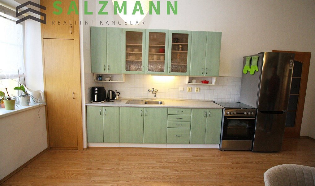 Pronájem bytu 2+kk 65 m², Plzeň – náhled fotky 3