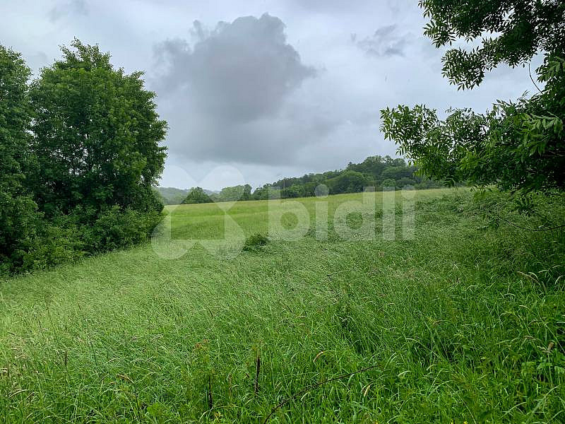 Prodej stavebního pozemku o rozloze 1951 m² – pohled 3