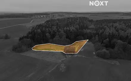 Prodej louky 7 301 m², Niva