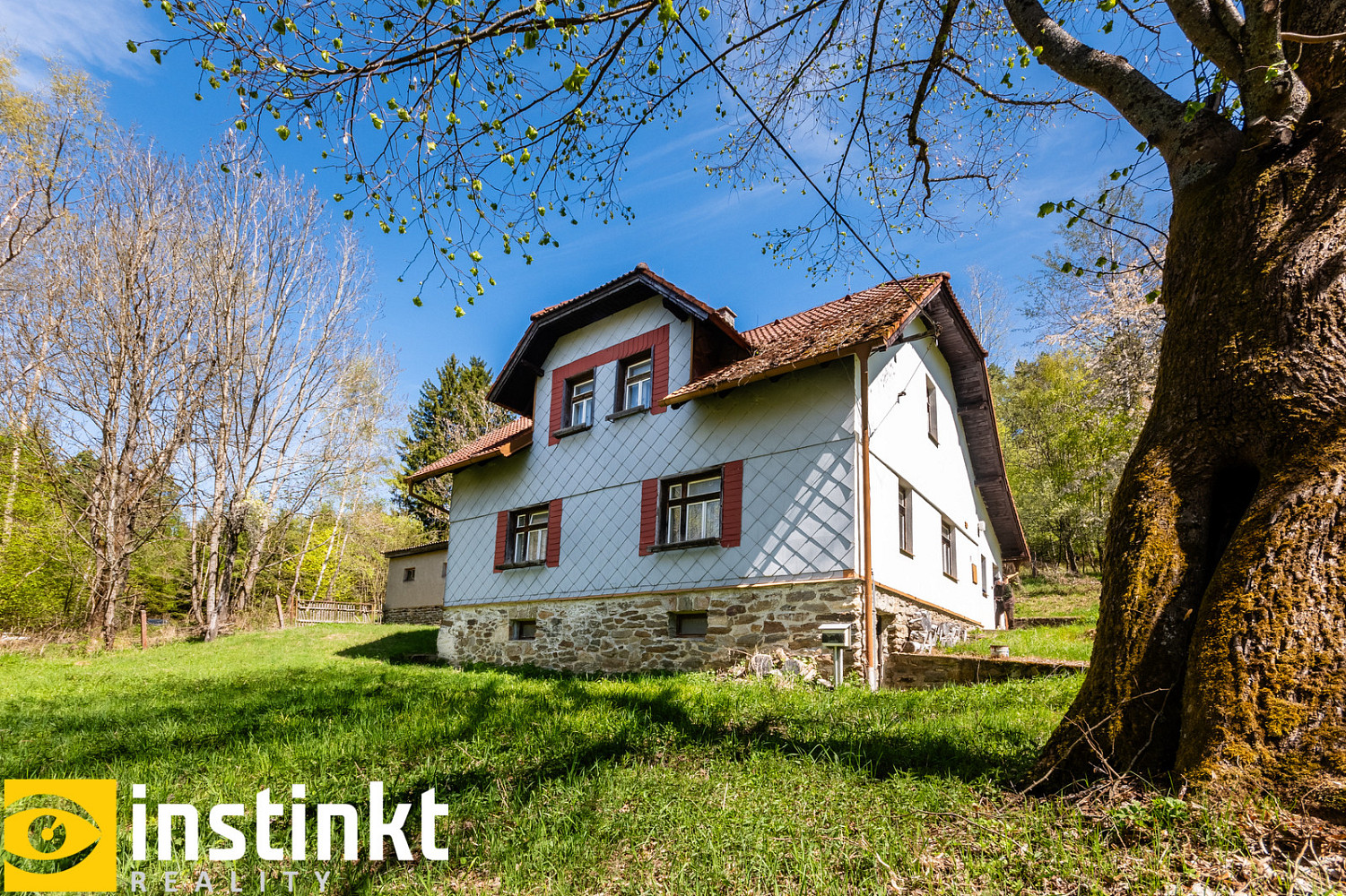 Prodej domu 290 m² s pozemkem 2 871 m² – fotografie 3