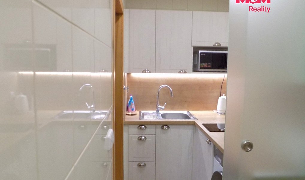 Prodej bytu 1+kk 24 m², Králův Dvůr – náhled fotky 4