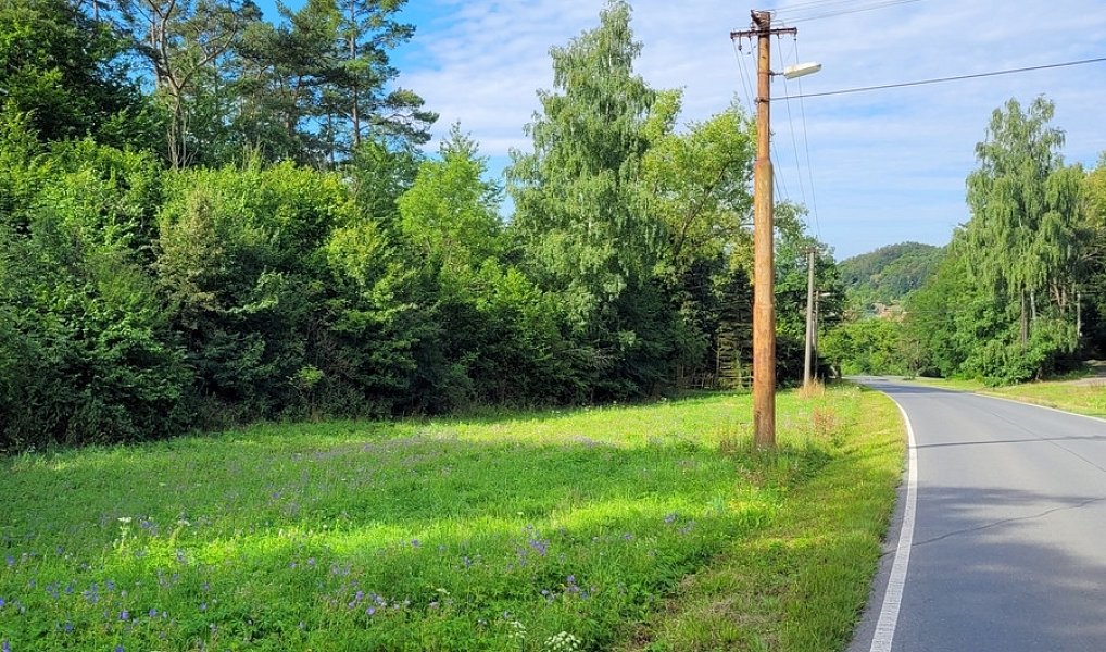 Prodej louky 3 885 m², Sýkořice – náhled fotky 5