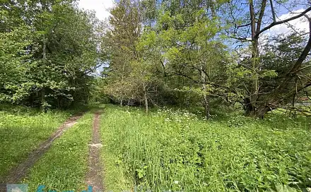 Prodej stavebního pozemku 2 584 m², Slavonice, okres Jindřichův Hradec