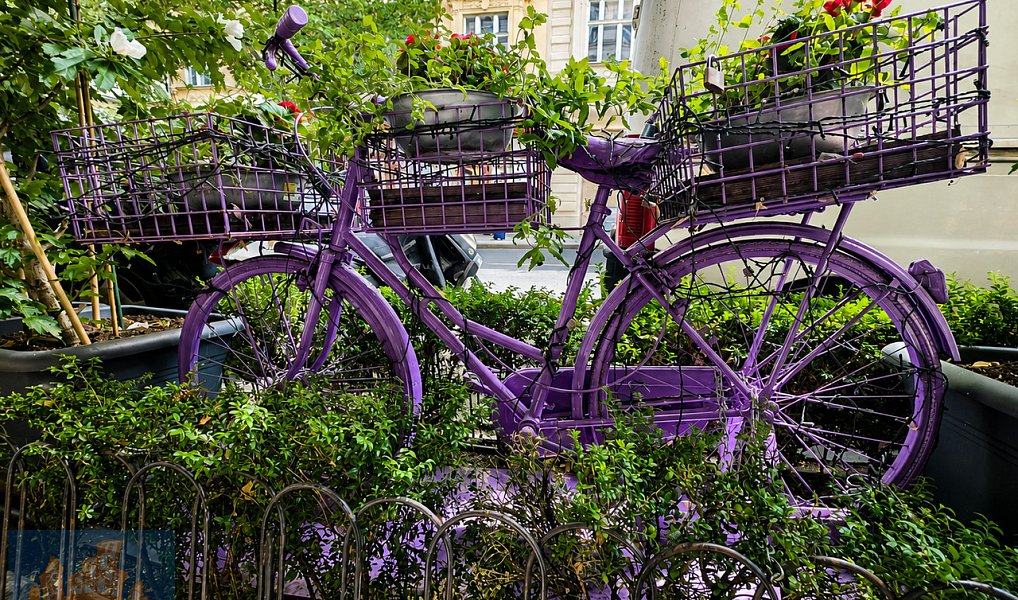 Pronájem restaurace 224 m², Praha – náhled fotky 4